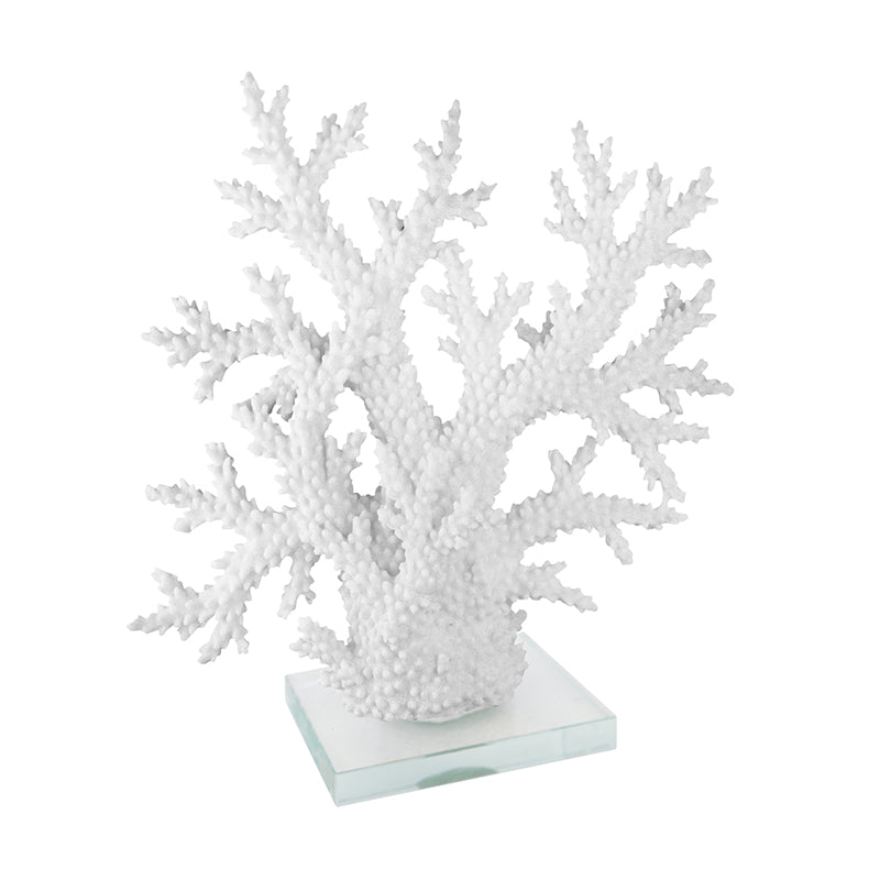 White Coral On Acrylic Base 21.75